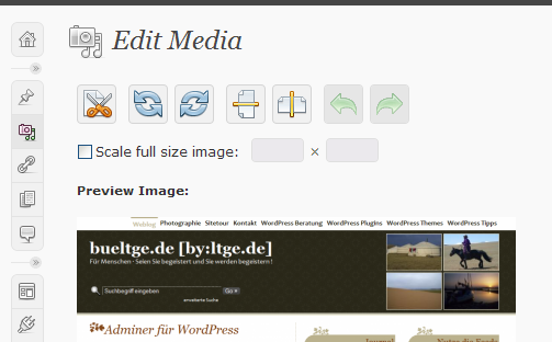 WordPress 2.9 Image Editor