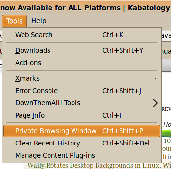 Private Browsing Window'