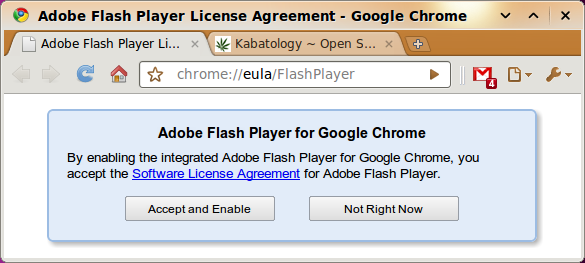 Google Chrome Integrates Flash Plug-In