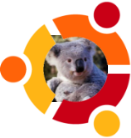 Ubuntu 9.10 Karmic Koala