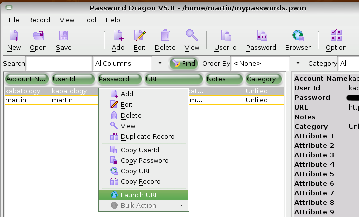 Password Dragon