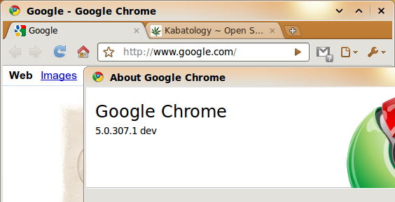 Google Chrome Dev 5
