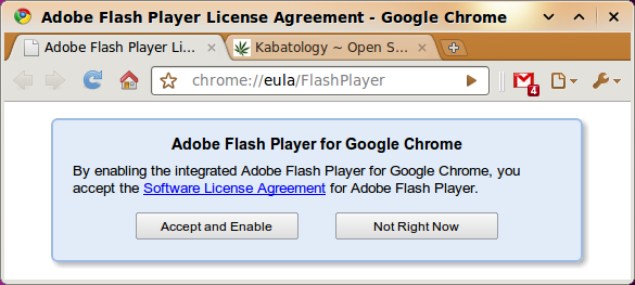 Google Chrome Integrates Flash Plug-In Google Chrome Integrates Flash Plug-In
